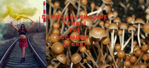 MDMA Premium VHQ Касимов