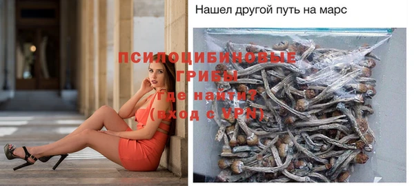 гидропоника Карпинск