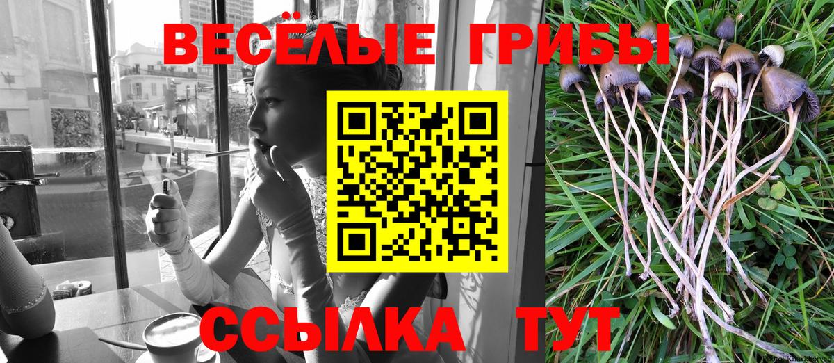 Новочеркасск  Псилоцибиновые грибы мицелий  Вход с VPN  Галлюциногенные грибы ЛСД 