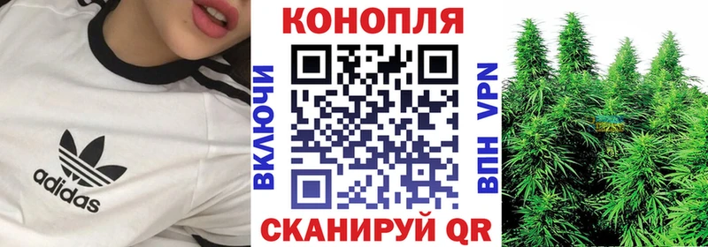 Канабис AK-47  блэк спрут онион  Новочеркасск 
